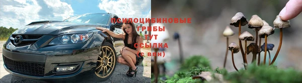бошки Россошь