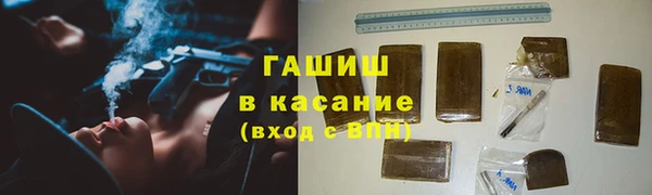 ешки Алексин