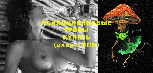 ешки Алексин