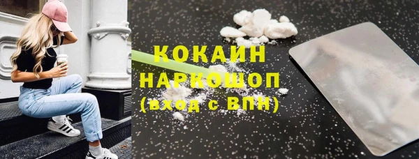 ешки Алексин
