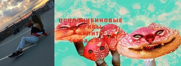 соль ск Абаза