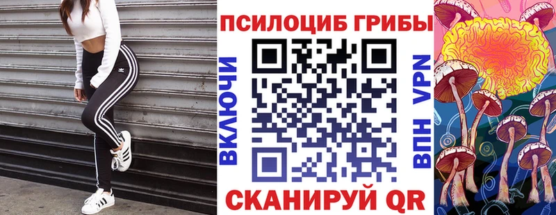 Галлюциногенные грибы MAGIC MUSHROOMS  MEGA онион  Кизилюрт 